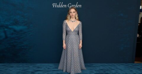 Amanda Seyfried uimește într-o rochie Oscar de la Renta complet transparentă