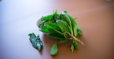 Legumele care scad tensiunea arterială cu până la 1.300 mg de potasiu per porție