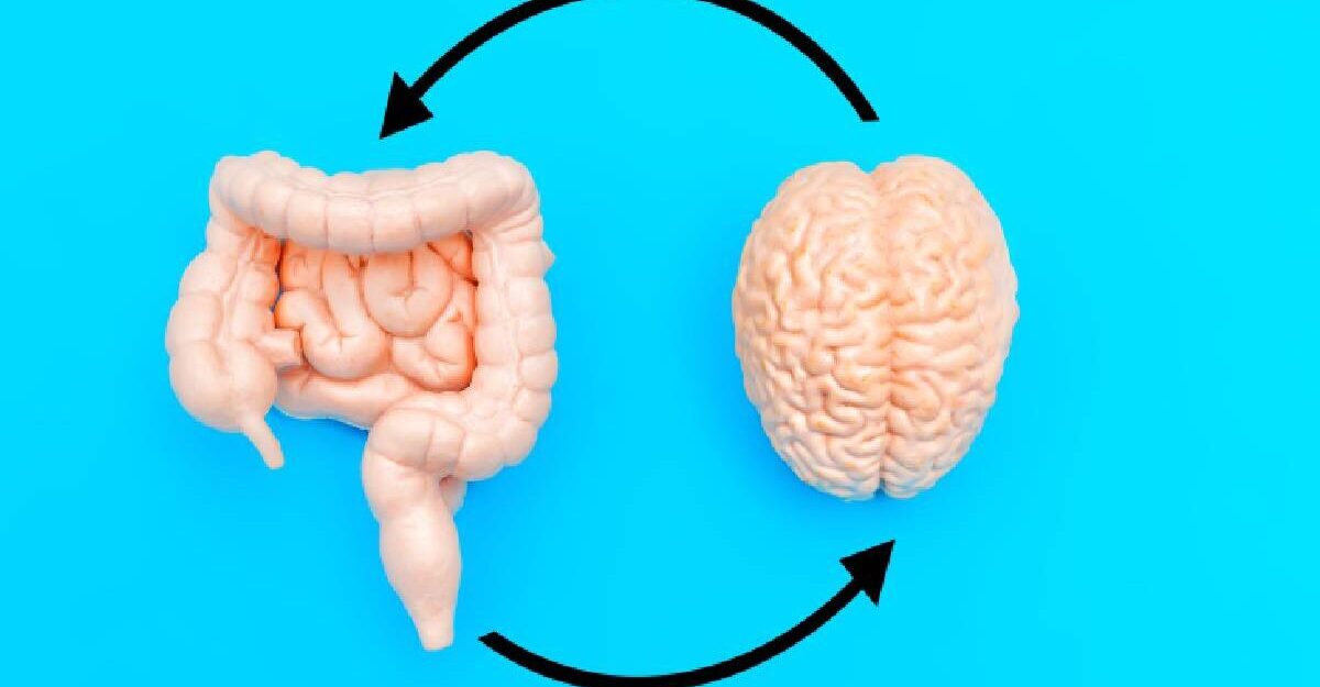 Intestinul produce 90% din serotonină legătura neașteptată cu depresia și anxietatea