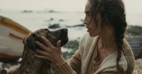 Cateaua Yuri castiga premiul Palm Dog la Cannes. Povestea animalului salvat din adapost