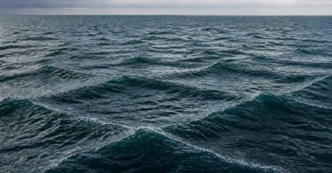Valurile pătrate. Cum arată fenomenul rar care te poate prinde într-un vortex dinamic.