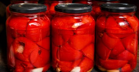 5 kg de gogoșari în oțet la rece cer proporții exacte. Află cum îi păstrezi crocanți până la iarnă fără fierbere