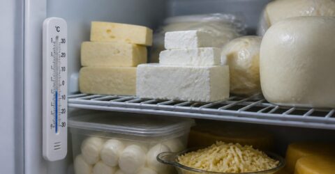 Cum păstrezi brânza corect în frigider. Mozzarella rezistă doar două ore la peste 4°C, telemeaua are altă regulă