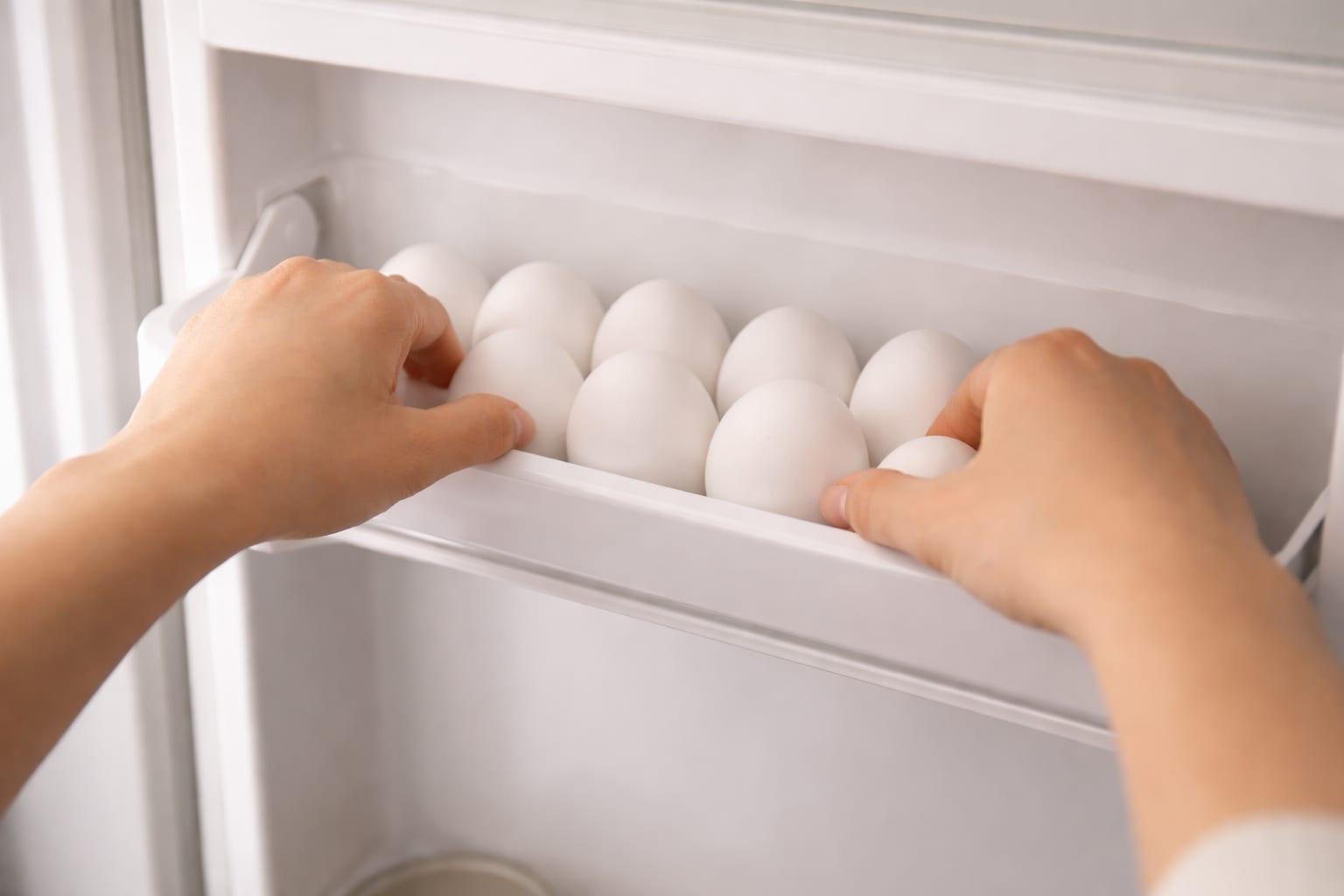 retragere ouă Salmonella, imagine 3