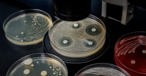 Rezistența antimicrobiană, a zecea amenințare globală