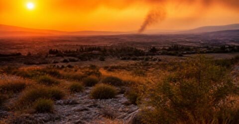 Pleci în Provence din 22 iulie 2026? 5 departamente au intrat sub alertă de incendii și contează ce numere ai la tine