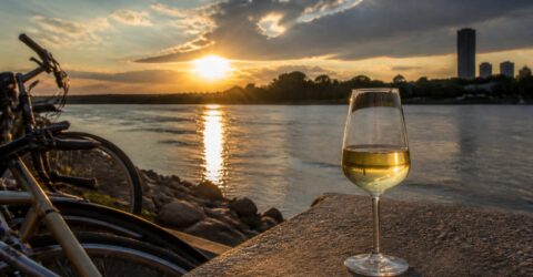 Viena e la o oră de zbor și îți schimbă vacanța. Te poți bucura de băi în Dunăre și vin la 3,90 euro