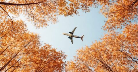 Septembrie, cu bilete de avion mai ieftine cu până la 64,5%, a devenit luna preferată a europenilor