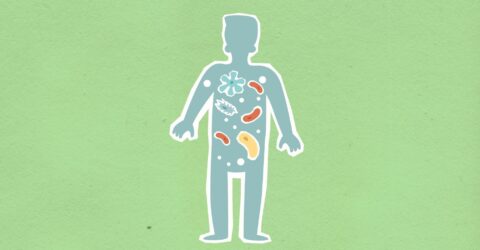 Un studiu arată că unele bacterii intestinale trec între oameni. Cum ajung să se instaleze