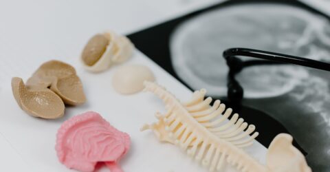 Terapia focală în cancerul de prostată a fost folosită rar în SUA. Ce arată studiul despre cazurile nepotrivite