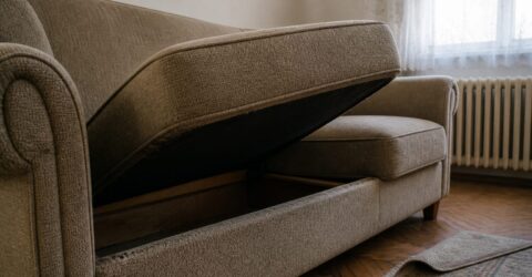 Cum verifici o canapea second-hand înainte de plată și unde cauți ploșnițele care pot ajunge în casă