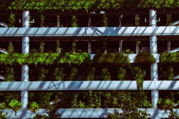 Ce verifici înainte să faci o grădină verticală pe fațadă și cum citești plafonul de 40.000 lei