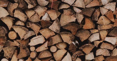 Cumperi lemne la 200-450 de lei pe metru cub la recoltare. Ce verifici înainte să alegi oferta