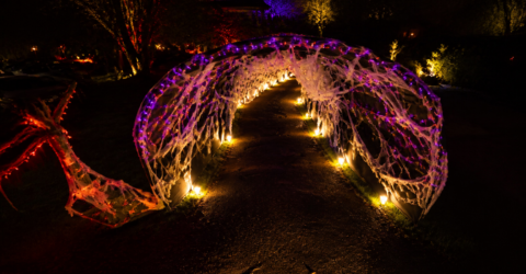 Lumina Park din Grădina Botanică București rămâne deschis până la miezul nopții de Halloween