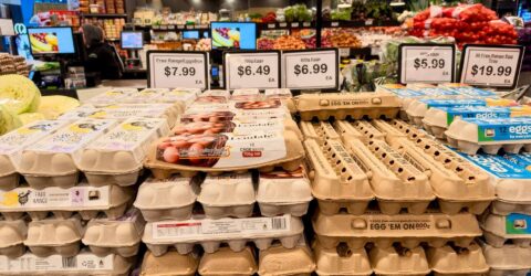 Ouăle cu etichetă ecologică nu garantează mai mulți nutrienți. Ce verifici pe ambalaj