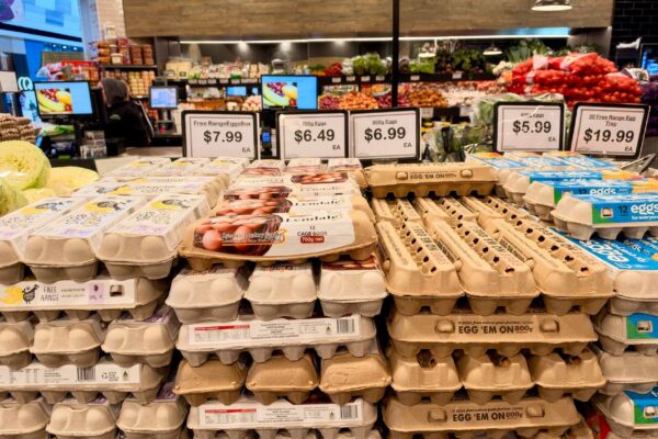 Ouăle cu etichetă ecologică nu garantează mai mulți nutrienți. Ce verifici pe ambalaj