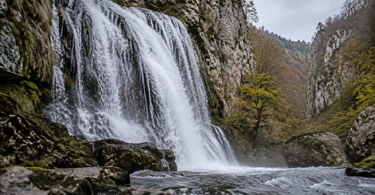 Pădurea Craiului primește statut ecoturistic pentru 3 ani