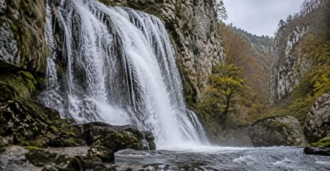 Pădurea Craiului primește statut ecoturistic pentru 3 ani
