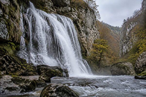 Pădurea Craiului primește statut ecoturistic pentru 3 ani