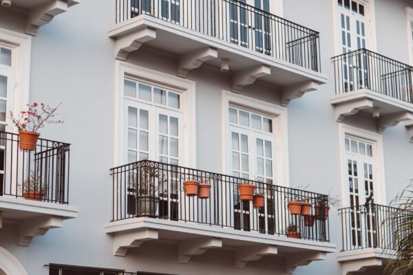 Cum pregătești balconul pentru iarnă. Ce plante adăpostești înainte de îngheț și cum protejezi ghivecele