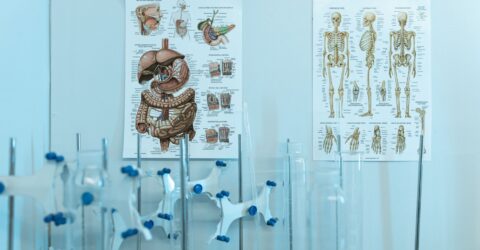 Când să mergi la medic pentru probleme digestive. 5 semne de urmărit, de la sângerare la înghițire dificilă